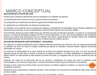 MARCO CONCEPTUAL
APLICACIÓN DE LA PULPA DE CAFÉ
Presenta gran variedad de alternativas para ser recicladas en su totalidad, por ejemplo:
La transformación de la misma en humus a partir del cultivo de lombrices.
Su participación en la elaboración de abonos orgánicos fermentados tipo bocashi.
Su participación en la elaboración de aboneras (composturas).
Su utilización como substrato para la reproducción biológica, principalmente de Aspergillus oryzae, Bacillus megatherium y
Saccharomyces carevisae, lo que es deseable para obtener abonos orgánicos de muy buena calidad.
En El Salvador, Suárez de Castro (1989) indica que 100 libras de pulpa de café seca equivalen, con base en su composición
química, a 10 libras de fertilizante inorgánico de N-P-K en las proporciones 14 -3-37; aquí queda reflejada la alta cantidad de
potasio que contiene este subproducto para ser utilizado como abono, especialmente en aquellos cultivos que manifiestan
necesidades elevadas de este elemento, como las musáceas (banano, plátano, guineo).
APLICACION SISTEMA DE CAFÉ SOSTENIBLE – ECOLOGICA
Por medio de un sistema sostenible de café se obtienen diferentes beneficios que actúan en ciclo, los cuales puede aplicarlo
en caficultor con el fin de reducir el impacto ambiental que genera su actividad y además obtener ingresos económicos
adicionales con su labor.
Se conservan la biodiversidad de la zona, tratando de mantener las especies arbóreas de la zona, con el fin de que las
especies propias de esta área no sientan la ausencia de especies arbóreas y no deban desplazarse en búsqueda de su
hábitat natural. Con ello también se esta evitando la erosión del suelo y su desgaste cada vez que se cambian los tipos de
cultivos.
Ambiente, por medio de la disminución del uso de químicos y fertilizantes en exceso que como ya sabemos causa
enfermedades en los humanos a largo plazo, su impacto ambiental es fuerte y genera cambios en el ecosistema.
Se logra un buen manejo de la fauna y flora, recursos hídricos y el sistema vegetal se mantiene sin cambios bruscos para el
ecosistema en general.
Obtenemos como subproductos o desechos del café y como resultado de una producción sostenible de café, donde usamos
el ciclo completo:
 