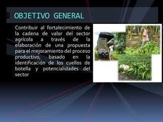 OBJETIVO GENERAL
Contribuir al fortalecimiento de
la cadena de valor del sector
agrícola a través de la
elaboración de una propuesta
para el mejoramiento del proceso
productivo, basado en la
identificación de los cuellos de
botella y potencialidades del
sector

 