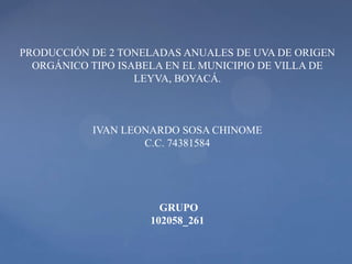 PRODUCCIÓN DE 2 TONELADAS ANUALES DE UVA DE ORIGEN
ORGÁNICO TIPO ISABELA EN EL MUNICIPIO DE VILLA DE
LEYVA, BOYACÁ.

IVAN LEONARDO SOSA CHINOME
C.C. 74381584

GRUPO
102058_261

 