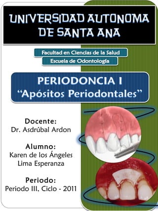 Docente: Dr. Asdrúbal Ardon Alumno: Karen de los Ángeles Lima Esperanza Periodo: Periodo III, Ciclo - 2011 