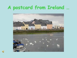 A postcard from Ireland … 