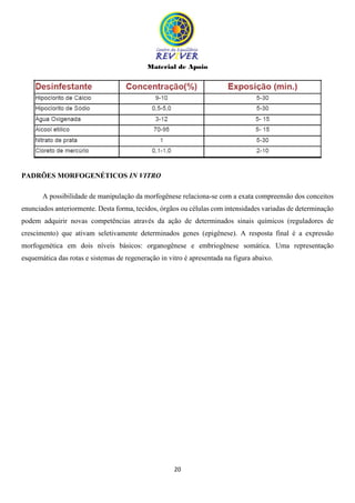Material de Apoio
20
PADRÕES MORFOGENÉTICOS IN VITRO
A possibilidade de manipulação da morfogênese relaciona-se com a exata compreensão dos conceitos
enunciados anteriormente. Desta forma, tecidos, órgãos ou células com intensidades variadas de determinação
podem adquirir novas competências através da ação de determinados sinais químicos (reguladores de
crescimento) que ativam seletivamente determinados genes (epigênese). A resposta final é a expressão
morfogenética em dois níveis básicos: organogênese e embriogênese somática. Uma representação
esquemática das rotas e sistemas de regeneração in vitro é apresentada na figura abaixo.
 