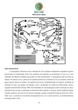 Material de Apoio
21
ORGANOGENESE
A organogênese relaciona-se com a obtenção de eixos caulinares monopolares originados de gemas
pré-existentes ou neoformadas. Estes eixos caulinares são induzidos ao enraizamento in vitro ou ex vitro
resultando em plântulas completas que podem ser então aclimatizadas. A organogênese pode ser direta ou
indireta. No primeiro caso, a partir de um explante primário há a formação de um eixo caulinar a partir de
gemas apicais, laterais ou axilares. No segundo caso ocorre a desdiferenciação do explante, resultando na
formação de calos, que podem ser definidos como a proliferação de células não diferenciadas massas,
originado meristemóides (Thorpe, 1980). Para finalidades de micropropagação clonal a formação de calos é
indesejável uma vez que a constituição cromossômica deste material é, em geral, instável, podendo originar
variantes genéticos, por meio de um processo chamado variação somaclonal (Larkin & Scowcroft, 1981).
Neste caso, o período de crescimento desorganizado deve ser o menor possível, ou preferencialmente
eliminado (Street, 1975).
 