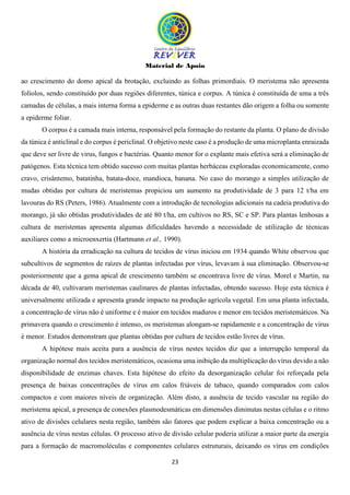 Material de Apoio
23
ao crescimento do domo apical da brotação, excluindo as folhas primordiais. O meristema não apresenta
folíolos, sendo constituído por duas regiões diferentes, túnica e corpus. A túnica é constituída de uma a três
camadas de células, a mais interna forma a epiderme e as outras duas restantes dão origem a folha ou somente
a epiderme foliar.
O corpus é a camada mais interna, responsável pela formação do restante da planta. O plano de divisão
da túnica é anticlinal e do corpus é periclinal. O objetivo neste caso é a produção de uma microplanta enraizada
que deve ser livre de virus, fungos e bactérias. Quanto menor for o explante mais efetiva será a eliminação de
patógenos. Esta técnica tem obtido sucesso com muitas plantas herbáceas exploradas economicamente, como
cravo, crisântemo, batatinha, batata-doce, mandioca, banana. No caso do morango a simples utilização de
mudas obtidas por cultura de meristemas propiciou um aumento na produtividade de 3 para 12 t/ha em
lavouras do RS (Peters, 1986). Atualmente com a introdução de tecnologias adicionais na cadeia produtiva do
morango, já são obtidas produtividades de até 80 t/ha, em cultivos no RS, SC e SP. Para plantas lenhosas a
cultura de meristemas apresenta algumas dificuldades havendo a necessidade de utilização de técnicas
auxiliares como a microenxertia (Hartmann et al., 1990).
A história da erradicação na cultura de tecidos de vírus iniciou em 1934 quando White observou que
subcultivos de segmentos de raízes de plantas infectadas por vírus, levavam à sua eliminação. Observou-se
posteriormente que a gema apical de crescimento também se encontrava livre de vírus. Morel e Martin, na
década de 40, cultivaram meristemas caulinares de plantas infectadas, obtendo sucesso. Hoje esta técnica é
universalmente utilizada e apresenta grande impacto na produção agrícola vegetal. Em uma planta infectada,
a concentração de vírus não é uniforme e é maior em tecidos maduros e menor em tecidos meristemáticos. Na
primavera quando o crescimento é intenso, os meristemas alongam-se rapidamente e a concentração de vírus
é menor. Estudos demonstram que plantas obtidas por cultura de tecidos estão livres de vírus.
A hipótese mais aceita para a ausência de vírus nestes tecidos diz que a interrupção temporal da
organização normal dos tecidos meristemáticos, ocasiona uma inibição da multiplicação do vírus devido a não
disponibilidade de enzimas chaves. Esta hipótese do efeito da desorganização celular foi reforçada pela
presença de baixas concentrações de vírus em calos friáveis de tabaco, quando comparados com calos
compactos e com maiores níveis de organização. Além disto, a ausência de tecido vascular na região do
meristema apical, a presença de conexões plasmodesmáticas em dimensões diminutas nestas células e o ritmo
ativo de divisões celulares nesta região, também são fatores que podem explicar a baixa concentração ou a
ausência de vírus nestas células. O processo ativo de divisão celular poderia utilizar a maior parte da energia
para a formação de macromoléculas e componentes celulares estruturais, deixando os vírus em condições
 