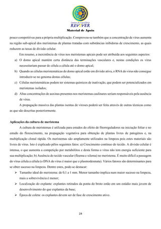 Material de Apoio
24
pouco competitivas para a própria multiplicação. Comprovou-se também que a concentração de vírus aumenta
na região sub-apical dos meristemas de plantas tratadas com substâncias inibidoras de crescimento, as quais
reduzem as taxas de divisão celular.
Em resumo, a inexistência de vírus nos meristemas apicais pode ser atribuída aos seguintes aspectos:
a) O domo apical mantém certa distância das terminações vasculares e, nestas condições os virus
necessitariam passar de célula a célula até o domo apical;
b) Quando as células meristemáticas do domo apical estão em divisão ativa, o RNA do virus não consegue
introduzir-se no genoma destas células;
c) Células meristemáticas podem ter sistemas químicos de inativação, que podem ser potencializados em
meristemas isolados;
d) Altas concentrações de auxinas presentes nos meristemas caulinares seriam responsáveis pela ausência
de vírus.
A propagação massiva das plantas isentas de viroses poderá ser feita através de outras técnicas como
as que são descritas posteriormente.
Aplicações da cultura de meristema
A cultura de meristemas é utilizada para estudos do efeito de fitorreguladores na iniciação foliar e no
estudo do florescimento, na propagação vegetativa para obtenção de plantas livres de patogénos e, na
multiplicação clonal rápida. Os meristemas são amplamente utilizados na limpeza pois estes materiais são
livres de vírus. Isto é explicado pêlos seguintes fatos: a) Crescimento contínuo do tecido. A divisão celular é
intensa, o que aumenta a competição por metabólitos e desta forma o vírus não tem energia suficiente para
sua multiplicação; b) Ausência do tecido vascular (floema e xilema) no meristema. É muito difícil a passagem
do vírus célula a célula (o DNA do vírus é maior que o plasmodesmata). Vários fatores são determinantes para
se obter sucesso na limpeza. Dentre estes, pode-se destacar:
 Tamanho ideal do meristema: de 0,1 a 1 mm. Menor tamanho implica num maior sucesso na limpeza,
mais a sobrevivência é menor;
 Localização do explante: explantes retirados da ponta do broto estão em um estádio mais jovem de
desenvolvimento do que explantes da base;
 Época de coleta: os explantes devem ser de fase de crescimento ativo.
 