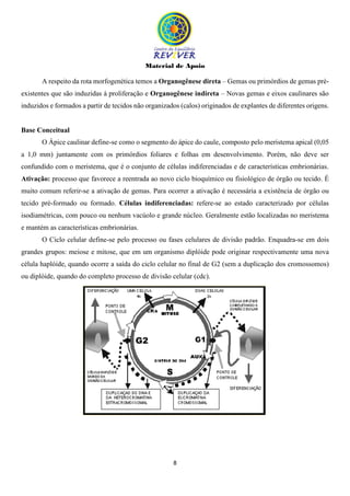 Material de Apoio
8
A respeito da rota morfogenética temos a Organogênese direta – Gemas ou primórdios de gemas pré-
existentes que são induzidas à proliferação e Organogênese indireta – Novas gemas e eixos caulinares são
induzidos e formados a partir de tecidos não organizados (calos) originados de explantes de diferentes origens.
Base Conceitual
O Ápice caulinar define-se como o segmento do ápice do caule, composto pelo meristema apical (0,05
a 1,0 mm) juntamente com os primórdios foliares e folhas em desenvolvimento. Porém, não deve ser
confundido com o meristema, que é o conjunto de células indiferenciadas e de características embrionárias.
Ativação: processo que favorece a reentrada ao novo ciclo bioquímico ou fisiológico de órgão ou tecido. É
muito comum referir-se a ativação de gemas. Para ocorrer a ativação é necessária a existência de órgão ou
tecido pré-formado ou formado. Células indiferenciadas: refere-se ao estado caracterizado por células
isodiamétricas, com pouco ou nenhum vacúolo e grande núcleo. Geralmente estão localizadas no meristema
e mantém as características embrionárias.
O Ciclo celular define-se pelo processo ou fases celulares de divisão padrão. Enquadra-se em dois
grandes grupos: meiose e mitose, que em um organismo diplóide pode originar respectivamente uma nova
célula haplóide, quando ocorre a saída do ciclo celular no final de G2 (sem a duplicação dos cromossomos)
ou diplóide, quando do completo processo de divisão celular (cdc).
 
