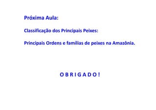 Próxima Aula:

Classificação dos Principais Peixes:

Principais Ordens e famílias de peixes na Amazônia.




                 OBRIGADO!
 