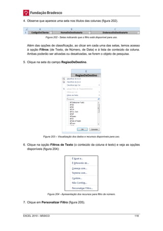 4. Observe que aparece uma seta nos títulos das colunas (figura 202). 
Figura 202 - Setas indicando que o filtro está disponível para uso. 
Além das opções de classificação, ao clicar em cada uma das setas, temos acesso 
à opção Filtros (de Texto, de Número, de Data) e à lista de conteúdo da coluna. 
Ambas poderão ser ativadas ou desativadas, se forem o objeto de pesquisa. 
5. Clique na seta do campo RegiaoDeDestino. 
Figura 203 – Visualização dos dados e recursos disponíveis para uso. 
6. Clique na opção Filtros de Texto (o conteúdo da coluna é texto) e veja as opções 
disponíveis (figura 204): 
Figura 204 - Apresentação dos recursos para filtro de número. 
7. Clique em Personalizar Filtro (figura 205). 
EXCEL 2010 – BÁSICO 118 
 