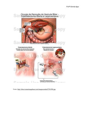 Profª Glenda Agra




Fonte: http://ebsco.smartimagebase.com/imagescooked/27619W.jpg
 