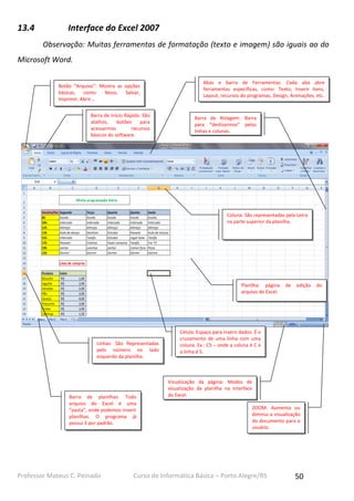 Professor Mateus C. Peinado Curso de Informática Básica – Porto Alegre/RS 50
13.4 Interface do Excel 2007
Observação: Muitas ferramentas de formatação (texto e imagem) são iguais ao do
Microsoft Word.
Botão “Arquivo”: Mostra as opções
básicas, como: Novo, Salvar,
Imprimir, Abrir...
ZOOM: Aumenta ou
diminui a visualização
do documento para o
usuário.
Barra de planilhas: Todo
arquivo do Excel é uma
“pasta”, onde podemos inserir
planilhas. O programa já
possui 3 por padrão.
Abas e barra de Ferramentas: Cada aba abre
ferramentas específicas, como: Texto, Inserir itens,
Layout, recursos do programas, Design, Animações, etc.
Linhas: São Representadas
pelo número no lado
esquerdo da planilha.
Visualização da página: Modos de
visualização da planilha na interface
do Excel.
Barra de Início Rápido: São
atalhos, botões para
acessarmos recursos
básicos do software.
Barra de Rolagem: Barra
para “deslizarmos” pelas
linhas e colunas.
Célula: Espaço para inserir dados. É o
cruzamento de uma linha com uma
coluna. Ex.: C5 – onde a coluna é C e
a linha é 5.
Coluna: São representadas pela Letra
na parte superior da planilha.
Planilha: página de edição do
arquivo do Excel.
 
