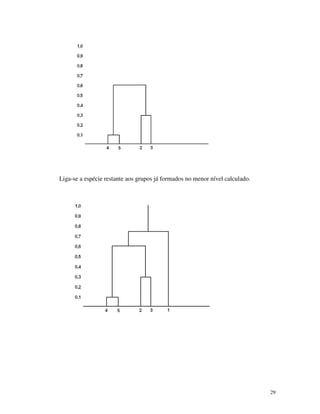 29
Liga-se a espécie restante aos grupos já formados no menor nível calculado.
 