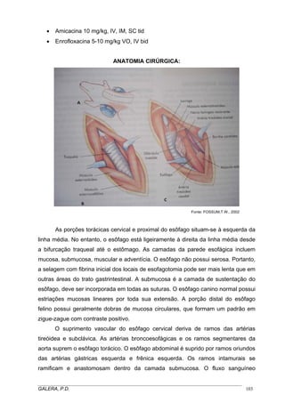 •

Amicacina 10 mg/kg, IV, IM, SC tid

•

Enrofloxacina 5-10 mg/kg VO, IV bid

ANATOMIA CIRÚRGICA:

Fonte: FOSSUM,T.W., 2002

As porções torácicas cervical e proximal do esôfago situam-se à esquerda da
linha média. No entanto, o esôfago está ligeiramente à direita da linha média desde
a bifurcação traqueal até o estômago. As camadas da parede esofágica incluem
mucosa, submucosa, muscular e adventícia. O esôfago não possui serosa. Portanto,
a selagem com fibrina inicial dos locais de esofagotomia pode ser mais lenta que em
outras áreas do trato gastrintestinal. A submucosa é a camada de sustentação do
esôfago, deve ser incorporada em todas as suturas. O esôfago canino normal possui
estriações mucosas lineares por toda sua extensão. A porção distal do esôfago
felino possui geralmente dobras de mucosa circulares, que formam um padrão em
zigue-zague com contraste positivo.
O suprimento vascular do esôfago cervical deriva de ramos das artérias
tireóidea e subclávica. As artérias broncoesofágicas e os ramos segmentares da
aorta suprem o esôfago torácico. O esôfago abdominal é suprido por ramos oriundos
das artérias gástricas esquerda e frênica esquerda. Os ramos intamurais se
ramificam e anastomosam dentro da camada submucosa. O fluxo sanguíneo
_____________________________________________________________________________________
GALERA, P.D.
103

 