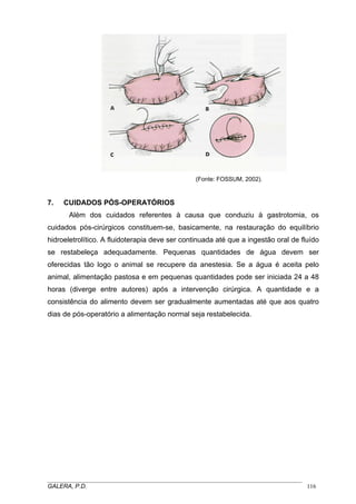 (Fonte: FOSSUM, 2002).

7.

CUIDADOS PÓS-OPERATÓRIOS
Além dos cuidados referentes à causa que conduziu à gastrotomia, os

cuidados pós-cirúrgicos constituem-se, basicamente, na restauração do equilíbrio
hidroeletrolítico. A fluidoterapia deve ser continuada até que a ingestão oral de fluído
se restabeleça adequadamente. Pequenas quantidades de água devem ser
oferecidas tão logo o animal se recupere da anestesia. Se a água é aceita pelo
animal, alimentação pastosa e em pequenas quantidades pode ser iniciada 24 a 48
horas (diverge entre autores) após a intervenção cirúrgica. A quantidade e a
consistência do alimento devem ser gradualmente aumentadas até que aos quatro
dias de pós-operatório a alimentação normal seja restabelecida.

_____________________________________________________________________________________
GALERA, P.D.
116

 