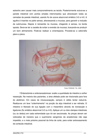 estranho sem causar mais comprometimento ao tecido. Posteriormente sutura-se a
parede intestinal com pontos simples interrompidos que atravessam todas as
camadas da parede intestinal, usando fio de sutura absorvível sintético 3-0 a 4-0. A
agulha é inserida na parte serosa, atravessando a mucosa, para garantir a inclusão
da submucosa. Depois é reinserida na mucosa, chegando à serosa, na borda
oposta. Deve-se ter a cautela de evitar a eversão da mucosa, buscando-se produzir
um bom alinhamento. Pode-se realizar a omentopexia. Procede-se a celiorrafia
plano a plano.

Fonte: FOSSUM, T.W., 2002

aEnterectomia e enteroanastomose: avalie a quantidade de intestino a sofrer
ressecção. Na maioria dos pacientes, a área afetada pode ser tracionada para fora
do abdômen. Em casos de intussuscepção, sempre é válido tentar reduzi-la.
Realiza-se um leve “ordenhamento” na porção da alça intestinal a ser retirada. O
intestino é liberado de sua ligação com o mesentério através de transecção e
ligaduras (fio sintético absorvível 3-0 ou 4-0). Aplique um ou dois clampes intestinais
(ou os dedos) em cada extremidade que irá ser seccionada. As pinças devem ser
colocadas de maneira que o suprimento sangüíneo da anastomose não seja
impedido, e o mais próximo possível da linha de corte, para evitar extravasamento
de conteúdo intestinal.

_____________________________________________________________________________________
GALERA, P.D.
121

 