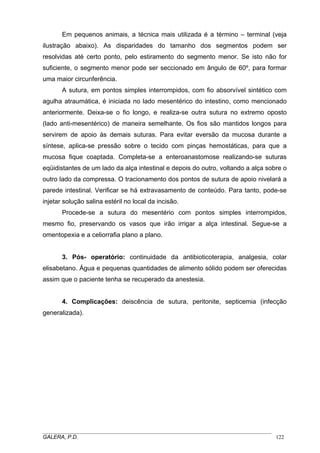 Em pequenos animais, a técnica mais utilizada é a término – terminal (veja
ilustração abaixo). As disparidades do tamanho dos segmentos podem ser
resolvidas até certo ponto, pelo estiramento do segmento menor. Se isto não for
suficiente, o segmento menor pode ser seccionado em ângulo de 60º, para formar
uma maior circunferência.
A sutura, em pontos simples interrompidos, com fio absorvível sintético com
agulha atraumática, é iniciada no lado mesentérico do intestino, como mencionado
anteriormente. Deixa-se o fio longo, e realiza-se outra sutura no extremo oposto
(lado anti-mesentérico) de maneira semelhante. Os fios são mantidos longos para
servirem de apoio às demais suturas. Para evitar eversão da mucosa durante a
síntese, aplica-se pressão sobre o tecido com pinças hemostáticas, para que a
mucosa fique coaptada. Completa-se a enteroanastomose realizando-se suturas
eqüidistantes de um lado da alça intestinal e depois do outro, voltando a alça sobre o
outro lado da compressa. O tracionamento dos pontos de sutura de apoio nivelará a
parede intestinal. Verificar se há extravasamento de conteúdo. Para tanto, pode-se
injetar solução salina estéril no local da incisão.
Procede-se a sutura do mesentério com pontos simples interrompidos,
mesmo fio, preservando os vasos que irão irrigar a alça intestinal. Segue-se a
omentopexia e a celiorrafia plano a plano.
3. Pós- operatório: continuidade da antibioticoterapia, analgesia, colar
elisabetano. Água e pequenas quantidades de alimento sólido podem ser oferecidas
assim que o paciente tenha se recuperado da anestesia.
4. Complicações: deiscência de sutura, peritonite, septicemia (infecção
generalizada).

_____________________________________________________________________________________
GALERA, P.D.
122

 