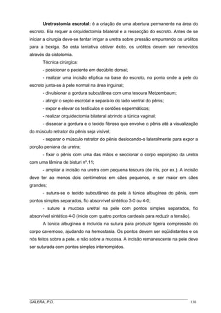 Uretrostomia escrotal: é a criação de uma abertura permanente na área do
escroto. Ela requer a orquidectomia bilateral e a ressecção do escroto. Antes de se
iniciar a cirurgia deve-se tentar irrigar a uretra sobre pressão empurrando os urólitos
para a bexiga. Se esta tentativa obtiver êxito, os urólitos devem ser removidos
através da cistotomia.
Técnica cirúrgica:
- posicionar o paciente em decúbito dorsal;
- realizar uma incisão elíptica na base do escroto, no ponto onde a pele do
escroto junta-se à pele normal na área inguinal;
- divulsionar a gordura subcutânea com uma tesoura Metzembaum;
- atingir o septo escrotal e separá-lo do lado ventral do pênis;
- expor e elevar os testículos e cordões espermáticos;
- realizar orquidectomia bilateral abrindo a túnica vaginal;
- dissecar a gordura e o tecido fibroso que envolve o pênis até a visualização
do músculo retrator do pênis seja visível;
- separar o músculo retrator do pênis deslocando-o lateralmente para expor a
porção peniana da uretra;
- fixar o pênis com uma das mãos e seccionar o corpo esponjoso da uretra
com uma lâmina de bisturi nº.11;
- ampliar a incisão na uretra com pequena tesoura (de íris, por ex.). A incisão
deve ter ao menos dois centímetros em cães pequenos, e ser maior em cães
grandes;
- sutura-se o tecido subcutâneo da pele à túnica albugínea do pênis, com
pontos simples separados, fio absorvível sintético 3-0 ou 4-0;
- suture a mucosa uretral na pele com pontos simples separados, fio
absorvível sintético 4-0 (inicie com quatro pontos cardeais para reduzir a tensão).
A túnica albugínea é incluída na sutura para produzir ligeira compressão do
corpo cavernoso, ajudando na hemostasia. Os pontos devem ser eqüidistantes e os
nós feitos sobre a pele, e não sobre a mucosa. A incisão remanescente na pele deve
ser suturada com pontos simples interrompidos.

_____________________________________________________________________________________
GALERA, P.D.
130

 