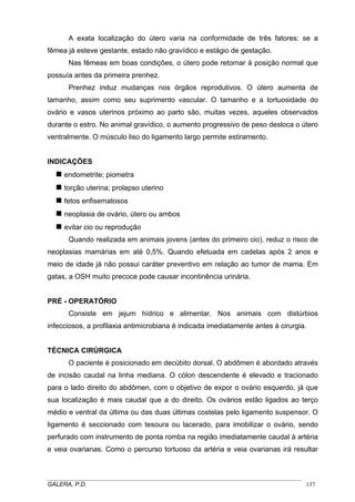 A exata localização do útero varia na conformidade de três fatores: se a
fêmea já esteve gestante, estado não gravídico e estágio de gestação.
Nas fêmeas em boas condições, o útero pode retornar à posição normal que
possuía antes da primeira prenhez.
Prenhez induz mudanças nos órgãos reprodutivos. O útero aumenta de
tamanho, assim como seu suprimento vascular. O tamanho e a tortuosidade do
ovário e vasos uterinos próximo ao parto são, muitas vezes, aqueles observados
durante o estro. No animal gravídico, o aumento progressivo de peso desloca o útero
ventralmente. O músculo liso do ligamento largo permite estiramento.

INDICAÇÕES
endometrite; piometra
torção uterina; prolapso uterino
fetos enfisematosos
neoplasia de ovário, útero ou ambos
evitar cio ou reprodução
Quando realizada em animais jovens (antes do primeiro cio), reduz o risco de
neoplasias mamárias em até 0,5%. Quando efetuada em cadelas após 2 anos e
meio de idade já não possui caráter preventivo em relação ao tumor de mama. Em
gatas, a OSH muito precoce pode causar incontinência urinária.

PRÉ - OPERATÓRIO
Consiste em jejum hídrico e alimentar. Nos animais com distúrbios
infecciosos, a profilaxia antimicrobiana é indicada imediatamente antes à cirurgia.

TÉCNICA CIRÚRGICA
O paciente é posicionado em decúbito dorsal. O abdômen é abordado através
de incisão caudal na linha mediana. O cólon descendente é elevado e tracionado
para o lado direito do abdômen, com o objetivo de expor o ovário esquerdo, já que
sua localização é mais caudal que a do direito. Os ovários estão ligados ao terço
médio e ventral da última ou das duas últimas costelas pelo ligamento suspensor. O
ligamento é seccionado com tesoura ou lacerado, para imobilizar o ovário, sendo
perfurado com instrumento de ponta romba na região imediatamente caudal à artéria
e veia ovarianas. Como o percurso tortuoso da artéria e veia ovarianas irá resultar

_____________________________________________________________________________________
GALERA, P.D.
137

 