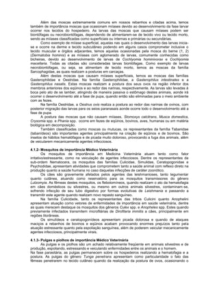 Além das moscas extremamente comuns em nossos rebanhos e citadas acima, temos
também de importância moscas que ocasionam miíases devido ao desenvolvimento da fase larvar
ocorrer nos tecidos do hospedeiro. As larvas das moscas que causam miíases podem ser
biontófagas ou necrobiontófagas, dependendo de alimentarem-se de tecido vivo ou tecido morto,
sendo as miíases classificadas como superficiais ou internas e primárias ou secundárias.
Como exemplo de miíase superficial, aquelas nas quais o desenvolvimento das larvas inicia-
se e ocorre na derme e tecido subcutâneo podendo em alguns casos comprometer inclusive o
tecido muscular e órgãos adjacentes, temos aquelas ocasionadas pela mosca do berne (1, 2)
(Dermatobia hominis) e as miíases com aglomerado de larvas, comumente conhecidas como
bicheiras, devido ao desenvolvimento de larvas de Cochlyomia hominivorax e Cochlyomia
macellaria. Todas as citadas são consideradas larvas biontófagas. Como exemplo de larvas
necrobiontófagas, ou seja, se alimentam de tecido morto, temos as moscas da família
Sarcophagidae, as quais realizam a posturas em carcaças.
Além destas moscas que causam miíases superficiais, temos as moscas das famílias
Gasterophilidae e Oestridae. Na família Gasterophilidae, a Gasterophilus intestinales e a
Gasterophilus nasalis. Estas moscas realizam a postura dos seus ovos na região inferior dos
membros anteriores dos eqüinos e ao redor das narinas, respectivamente. As larvas são levadas à
boca pelo ato de se lamber, atingindo de maneira passiva o estômago destes animais, aonde irá
ocorrer o desenvolvimento até a fase de pupa, quando então são eliminadas para o meio ambiente
com as fezes.
Na família Oestridae, a Oestrus ovis realiza a postura ao redor das narinas de ovinos, com
posterior migração das larvas para os seios paranasais aonde ocorre todo o desenvolvimento até a
fase de pupa.
A postura das moscas que não causam miíases, Stomoxys calcitrans, Musca domestica,
Crysomia spp. e Phania spp. ocorre em fezes de eqüinos, bovinos, aves, humanas ou em matéria
biológica em decomposição.
Também classificadas como moscas ou mutucas, os representantes da família Tabanidae
(tabanídeos) são importantes agentes principalmente na criação de eqüinos e de bovinos. São
insetos de hábitos hematófagos e de picada muito doloroso, provocando a fuga dos animais, além
de veicularem mecanicamente agentes infecciosos.
4.1.2- Mosquitos de importância Médico Veterinária
Os mosquitos de importância em Medicina Veterinária atuam tento como fator
irritativo/estressante, como na veiculação de agentes infecciosos. Dentre os representantes da
sub-ordem Nematocera, os mosquitos das famílias Culicidae, Simulidae, Ceratopogonidae e
Psychodidae, apresentam atividades que comprometem tanto a saúde animal com reflexo direto na
produção quanto a saúde humana no caso daquelas infecções de caráter zoonótico.
Os cães são gravemente afetados pelos agentes das leishmanioses, tanto tegumentar
quanto cutânea, atuando como reservatório para os mosquitos transmissores do gênero
Lutzomyia. As fêmeas destes mosquitos, os flebotomíneos, quando realizam o ato da hematofagia
em cães domésticos ou silvestres, ou mesmo em outros animais silvestres, contaminam-se,
sofrendo infecção de seu tubo digestivo por formas evolutivas de Leishmania e passando a
transmitir este agente quando realizam novo repasto sanguíneo.
Na família Culicidade, tanto os representantes das tribos Culicini quanto Anophelini
apresentam atuação como vetores de enfermidades de importância em saúde veterinária, dentre
as quais merecem destaque os mosquitos dos gêneros Culex spp. e Anopheles spp. Estes quando
previamente infectados transmitem microfilárias de Dirofilaria immitis a cães, principalmente em
regiões litorâneas.
Os simulídeos e ceratopogonídeos apresentam picada dolorosa e quando de ataques
maciços a rebanhos de bovinos e eqüinos acabam provocando enormes prejuízos tanto pela
atuação estressante quanto pela espoliação sanguínea, além de poderem veicular mecanicamente
agentes infecciosos, principalmente virais.
4.1.3- Pulgas e piolhos de importância Médico Veterinária
As pulgas e os piolhos são um achado relativamente freqüente em animais silvestres e de
produção, espoliando, estressando e veiculando enfermidades entre os animais e o homem.
Na fase parasitária, as pulgas permanecem sobre os hospedeiros realizando a hematofagia e a
postura. As pulgas do gênero Tunga penetrans apresentam como particularidade o fato das
fêmeas penetrarem no tecido cutâneo quando da realização da postura de ovos, ocasionando o
 