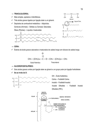 19
 TRIACILGLICEROL:
 Mais simples, apolares e hidrofóbicos.
 Três ácidos graxos ligados por ligação éster a um glicerol.
 Depósitos de combustível metabólico – Adipócitos.
Gorduras (Animais) – Sólidas ou Cerosas: Saturadas.
Óleos (Plantas) – Líquidos: Insaturadas
 CERA:
 Ésteres de ácido graxos saturados e insaturados de cadeia longa com álcoois de cadeia longa.
 GLICEROFOSFOLIPÍDEO:
 Dois ácidos graxos unidos por ligação éster ao glicerol e um grupo polar por ligação fosfodiéster.
 Se ao invés do X:
OH – Ácido fosfatídico.
Colina – Fosfatidil Colina.
Inositol – Fosfatidil Inositol.
Inositol Difosfato – Fosfatidil Inositol
Difosfato (PIP2)
Ácido Palmítico Triacontanol
 