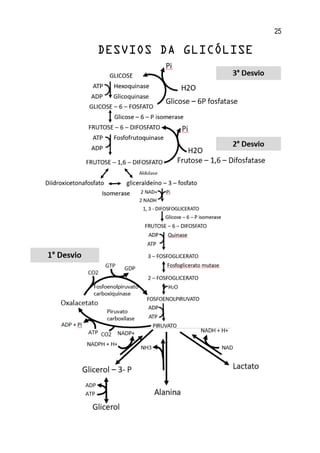 25
DESVIOS DA GLICÓLISE
 