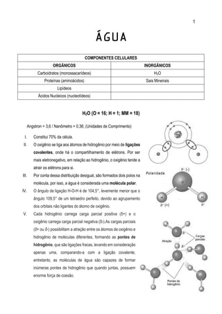 1
ÁGUA
COMPONENTES CELULARES
ORGÂNICOS INORGÂNICOS
Carboidratos (monossacarídeos) H2O
Proteínas (aminoácidos) Sais Mineirais
Lipídeos
Ácidos Nucleicos (nucleotídeos)
H2O (O = 16; H = 1; MM = 18)
Angstron = 3,6 / Nanômetro = 0,36; (Unidades de Comprimento)
I. Constitui 70% da célula.
II. O oxigênio se liga aos átomos de hidrogênio por meio de ligações
covalentes, onde há o compartilhamento de elétrons. Por ser
mais eletronegativo, em relação ao hidrogênio, o oxigênio tende a
atrair os elétrons para si.
III. Por conta dessa distribuição desigual, são formados dois polos na
molécula, por isso, a água é considerada uma molécula polar.
IV. O ângulo de ligação H-O-H é de 104,5°, levemente menor que o
ângulo 109,5° de um tetraedro perfeito, devido ao agrupamento
dos orbitais não ligantes do átomo de oxigênio.
V. Cada hidrogênio carrega carga parcial positiva (δ+) e o
oxigênio carrega carga parcial negativa (δ-).As cargas parciais
(δ+ ou δ-) possibilitam a atração entre os átomos de oxigênio e
hidrogênio de moléculas diferentes, formando as pontes de
hidrogênio, que são ligações fracas, levando em consideração
apenas uma, comparando-a com a ligação covalente,
entretanto, as moléculas de água são capazes de formar
inúmeras pontes de hidrogênio que quando juntas, possuem
enorme força de coesão.
 