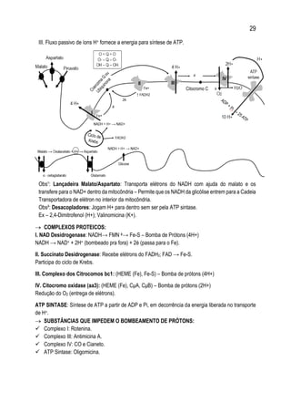 29
III. Fluxo passivo de íons H+ fornece a energia para síntese de ATP.
Obs¹: Lançadeira Malato/Aspartato: Transporta elétrons do NADH com ajuda do malato e os
transfere para o NAD+ dentro da mitocôndria – Permite que os NADH da glicólise entrem para a Cadeia
Transportadora de elétron no interior da mitocôndria.
Obs²: Desacopladores: Jogam H+ para dentro sem ser pela ATP sintase.
Ex – 2,4-Dimitrofenol (H+); Valinomicina (K+).
 COMPLEXOS PROTEICOS:
I. NAD Desidrogenase: NADH→ FMN é→ Fe-S – Bomba de Prótons (4H+)
NADH → NAD+ + 2H+ (bombeado pra fora) + 2è (passa para o Fe).
II. Succinato Desidrogenase: Recebe elétrons do FADH2; FAD → Fe-S.
Participa do ciclo de Krebs.
III. Complexo dos Citrocomos bc1: (HEME (Fe), Fe-S) – Bomba de prótons (4H+)
IV. Citocromo oxidase (aa3): (HEME (Fe), CμA, CμB) – Bomba de prótons (2H+)
Redução do O2 (entrega de elétrons).
ATP SINTASE: Síntese de ATP a partir de ADP e Pi, em decorrência da energia liberada no transporte
de H+.
 SUBSTÂNCIAS QUE IMPEDEM O BOMBEAMENTO DE PRÓTONS:
 Complexo I: Rotenina.
 Complexo III: Antimicina A.
 Complexo IV: CO e Cianeto.
 ATP Sintase: Oligomicina.
Citocromo C
 