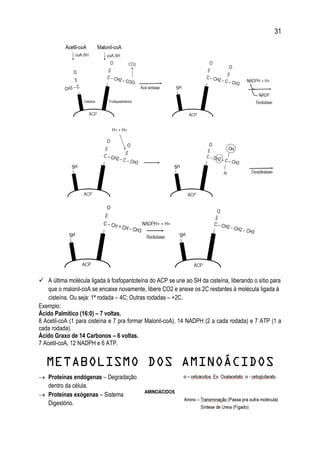 31
 A última molécula ligada à fosfopantoteína do ACP se une ao SH da cisteína, liberando o sítio para
que o malonil-coA se encaixe novamente, libere CO2 e anexe os 2C restantes à molécula ligada à
cisteína. Ou seja: 1ª rodada – 4C; Outras rodadas – +2C.
Exemplo:
Ácido Palmítico (16:0) – 7 voltas.
8 Acetil-coA (1 para cisteína e 7 pra formar Malonil-coA), 14 NADPH (2 a cada rodada) e 7 ATP (1 a
cada rodada).
Ácido Graxo de 14 Carbonos – 6 voltas.
7 Acetil-coA, 12 NADPH e 6 ATP.
METABOLISMO DOS AMINOÁCIDOS
 Proteínas endógenas – Degradação
dentro da célula.
 Proteínas exógenas – Sistema
Digestório.
 