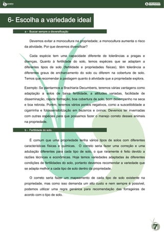 1- Escolha da variedade ideal.
a- Buscar sempre a diversificação
Devemos evitar a monocultura na propriedade; a monocultura aumenta o risco
da atividade. Por que devemos diversificar?
Cada espécie tem uma capacidade diferente de tolerâncias a pragas e
doenças. Quanto à fertilidade do solo, temos espécies que se adaptam a
diferentes tipos de solo (fertilidade e propriedades físicas), têm tolerância a
diferentes graus de encharcamento do solo ou diferem na cobertura de solo.
Temos que recomendar a pastagem quanto à atividade que a propriedade explora.
Exemplo: Se plantarmos a Brachiaria Decumbens, teremos várias vantagens como
adaptação a solos de baixa fertilidade, a altitudes variadas, facilidade de
disseminação, rápida formação, boa cobertura de solo, bom desempenho na seca
e boa rebrota. Porém, teremos vários pontos negativos, como a suscetibilidade a
cigarrinha e fotossensibilização em bezerros e ovinos. Devemos ter invernadas
com outras espécies para que possamos fazer o manejo correto desses animais
na propriedade.
b- Fertilidade do solo.
É comum que uma propriedade tenha vários tipos de solos com diferentes
características físicas e químicas. O correto seria fazer uma correção e uma
adubação diferentes para cada tipo de solo, o que raramente é feito devido a
razões técnicas e econômicas. Hoje temos variedades adaptadas às diferentes
condições de fertilidades do solo, portanto devemos recomendar a variedade que
se adapta melhor a cada tipo de solo dentro da propriedade.
O correto seria fazer um mapeamento de cada tipo de solo existente na
propriedade, mas como isso demanda um alto custo e nem sempre é possível,
podemos utilizar uma regra genérica para recomendação das forrageiras de
acordo com o tipo de solo.
umatraSementes de Pastagem
7
6- Escolha a variedade ideal
a - Buscar sempre a disversificação
b - Fertilidade do solo.
 