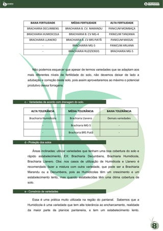 BAIXA FERTILIDADE MÉDIA FERTILIDADE ALTA FERTILIDADE
BRACHIARIA DECUMBENS BRACHIARIA B. CV. MARANDU PANICUM MOMBAÇA
BRACHIARIA HUMIDICOLA BRACHIARIA B. CV MG-4 PANICUM TANZANIA
BRACHIARIA LLANERO BRACHIARIA B. CV BRS PIATÃ PANICUM MASSAI
- BRACHIARIA MG-5 PANICUM ARUANA
- BRACHIARIA RUZIZIENSIS BRACHIARIA MG-5
Não podemos esquecer que apesar de termos variedades que se adaptam aos
mais diferentes níveis de fertilidade do solo, não devemos deixar de lado a
adubação e correção deste solo, pois assim aproveitaremos ao máximo o potencial
produtivo dessa forrageira.
a- Variedades de acordo com drenagem do solo.
ALTA TOLERÂNCIA MÉDIA TOLERÂNCIA BAIXA TOLERÂNCIA
Brachiaria Humidicola Brachiaria Llanero Demais variedades
- Brachiaria MG-5 -
- Brachiaria BRS Piatã -
b- Proteção dos solos
Áreas inclinadas: utilizar variedades que tenham uma boa cobertura do solo e
rápido estabelecimento. EX: Brachiaria Decumbens, Brachiaria Humidicola,
Brachiaria Llanero. Obs: nos casos de utilização de Humidicola e Llanero é
recomendado fazer a mistura com outra variedade, que pode ser a Brachiaria
Marandu ou a Decumbens, pois as Humidicolas têm um crescimento e um
estabelecimento lento, mas quando estabelecidas têm uma ótima cobertura de
solo.
e- Consórcio de variedades
Essa é uma prática muito utilizada na região do pantanal. Sabemos que a
Humidicola é uma variedade que tem alta tolerância ao encharcamento, realidade
da maior parte da planície pantaneira, e tem um estabelecimento lento.
umatraSementes de Pastagem
8
c - Variedades de acordo com drenagem do solo.
d - Proteção dos solos
e - Consórcio de variedades
 