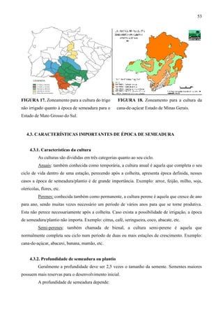 53
FIGURA 17. Zoneamento para a cultura do trigo
não irrigado quanto à época de semeadura para o
Estado de Mato Grosso do Sul.
FIGURA 18. Zoneamento para a cultura da
cana-de-açúcar Estado de Minas Gerais.
4.3. CARACTERÍSTICAS IMPORTANTES DE ÉPOCA DE SEMEADURA
4.3.1. Características da cultura
As culturas são divididas em três categorias quanto ao seu ciclo.
Anuais: também conhecida como temporária, a cultura anual é aquela que completa o seu
ciclo de vida dentro de uma estação, perecendo após a colheita, apresenta época definida, nesses
casos a época de semeadura/plantio é de grande importância. Exemplo: arroz, feijão, milho, soja,
olerícolas, flores, etc.
Perenes: conhecida também como permanente, a cultura perene é aquela que cresce de ano
para ano, sendo muitas vezes necessário um período de vários anos para que se torne produtiva.
Esta não perece necessariamente após a colheita. Caso exista a possibilidade de irrigação, a época
de semeadura/plantio não importa. Exemplo: citrus, café, seringueira, coco, abacate, etc.
Semi-perenes: também chamada de bienal, a cultura semi-perene é aquela que
normalmente completa seu ciclo num período de duas ou mais estações de crescimento. Exemplo:
cana-de-açúcar, abacaxi, banana, mamão, etc.
4.3.2. Profundidade de semeadura ou plantio
Geralmente a profundidade deve ser 2,5 vezes o tamanho da semente. Sementes maiores
possuem mais reservas para o desenvolvimento inicial.
A profundidade de semeadura depende:
 