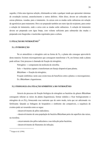 59
seguida, é feita uma rigorosa seleção, eliminando-se toda e qualquer muda que apresentar sintomas
de exsudação (resina), amarelecimento e outros defeitos. Além disso, devem ser colocadas em
caixas plásticas, vazadas, para o tratamento. As caixas com os mudas serão submersas em solução
de agrotóxicos para tratamento. Deve ser preparado também um outro tipo de recipiente, para conter
a solução de tratamento, onde a caixa com as mudas serão submersos. A solução de tratamento
devera ser preparada com água limpa, com volume suficiente para submersão das mudas e
preparada com fungicidas e inseticidas registrados para a cultura.
5. FIXAÇÃO DO NITROGÊNIO
19
5.1. INTRODUÇÃO
No ar atmosférico o nitrogênio está na forma de N2, a planta não consegue aproveitá-lo
desta maneira. Existem microrganismos que conseguem transformar o N2 em formas onde a planta
pode utilizar. Este processo é chamado de fixação de nitrogênio.
Nitrogênio → componente da molécula de clorofila;
Solo → bactérias captam e transformam em frasejo disponível para planta;
Rhizobium → fixação de nitrogênio;
Fixação simbiótica: neste caso existe troca de benefícios entre a planta e o microrganismo;
Ex: Rhizobium x leguminosas.
5.2. FISIOLOGIA DA FIXAÇÃO SIMBIÓTICA DO NITROGÊNIO
Através do processo de fixação biológica do nitrogênio as bactérias do gênero Rhizobium
conseguem infectar as raízes da planta (leguminosa), formar nódulos e fixar biologicamente o
nitrogênio do ar (N2), fornecendo esse nutriente que de outro modo, teria que ser adicionado via
fertilizante. Quando as linhagens de hospedeiro e simbionte são compatíveis, a sequência de
eventos pode ser resumida como se segue:
- desenvolvimento de pêlos radiculares;
- desenvolvimento de uma população de bactéria Rhizobium perto da superfície das raízes,
na rizosfera;
- encurvamento dos pêlos radiculares e sua infecção pelas bactérias;
- desenvolvimento de filamentos de infecção;
19
Vargas et al. (1994)
 