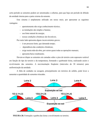 80
certo período as sementes podem ser amontoadas e cobertas, para que haja um período de difusão
da umidade interna para a parte externa da semente.
Este sistema é amplamente utilizado em nosso meio, por apresentar as seguintes
vantagens:
- aparentemente não exige conhecimento técnico;
- as instalações são simples e baratas;
- usa fonte natural de energia;
- nossas condições climáticas são favoráveis.
Por outro lado apresenta alguns inconvenientes graves:
- é um processo lento, que demanda tempo;
- dependência das condições climáticas;
- exige muita mão-de-obra, por serem quase todas as operações manuais;
- apresenta baixo rendimento.
Devem-se dispor as sementes em camadas sobre o piso do terreiro com espessura variável
em função do tipo de terreiro e da temperatura, formando e quebrando leiras, realizando assim o
revolvimento das sementes. A movimentação freqüente (intervalos de 30 minutos) para
uniformização da umidade.
A falta de cuidados na secagem, principalmente em terreiros de asfalto, pode levar a
aumentar a quantidade de sementes trincadas.
FIGURA 20. Formação e quebra das leiras e revolvimento no terreiro.
 