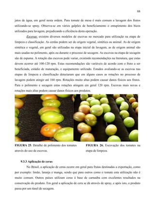 88
jatos de água, em geral nesta ordem. Para tomate de mesa é mais comum a lavagem dos frutos
utilizando-se spray. Observa-se em vários galpões de beneficiamento o entupimento dos bicos
utilizados para lavagem, prejudicando a eficiência desta operação.
Escovas: existem diversos modelos de escovas no mercado para utilização na etapa de
limpeza e classificação. As cerdas podem ser de origem vegetal, sintética ou animal. As de origem
sintética e vegetal, em geral são utilizadas na etapa inicial de lavagem, as de origem animal são
mais usadas no polimento, após ou durante o processo de secagem. As escovas na etapa de secagem
são de espuma. A rotação das escovas pode variar, existindo recomendações na literatura, que estas
devem ocorrer até 100-120 rpm. Estas recomendações são variáveis de acordo com o fruto a ser
beneficiada, estádio de maturação, e equipamento utilizado. Estudos avaliando-se as escovas nas
etapas de limpeza e classificação detectaram que em alguns casos as rotações no processo de
lavagem podem atingir até 160 rpm. Rotações muito altas podem causar danos físicos aos frutos.
Para o polimento e secagem estas rotações atingem em geral 120 rpm. Escovas mais novas e
rotações mais altas podem causar danos físicos aos produtos.
FIGURA 25. Detalhe de polimento dos tomates
através do uso de escovas.
FIGURA 26. Escovação dos tomates na
etapa de limpeza.
9.3.3 Aplicação de ceras
No Brasil, a aplicação de ceras ocorre em geral para frutas destinadas a exportação, como
por exemplo: limão, laranja e manga, sendo que para outros como o tomate esta utilização não é
muito comum. Outros países utilizam ceras à base de carnaúba com excelentes resultados na
conservação do produto. Em geral a aplicação de cera se dá através de spray, e após isto, o produto
passa por um túnel de secagem.
 