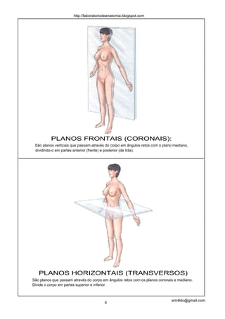 http://laboratoriodeanatomia.blogspot.com




          PLANOS FRONTAIS (CORONAIS):
 São planos verticais que passam através do corpo em ângulos retos com o plano mediano,
 dividindo-o em partes anterior (frente) e posterior (de trás).




   PLANOS HORIZONTAIS (TRANSVERSOS)
São planos que passam através do corpo em ângulos retos com os planos coronais e mediano.
Divide o corpo em partes superior e inferior.



                                                                             arn4ldo@gmail.com
                                        4
 