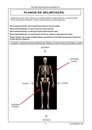 http://laboratoriodeanatomia.blogspot.com


                    PLANOS DE DELIMITAÇÃO

 Suponhamos, agora, que o indivíduo, em posição anatômica, esteja dentro de um caixão de vidro.
 As seis paredes que constituem o caixão representariam os planos tangenciais:


Plano Superior(Cranial): seria a parede que está por cima da cabeça
Plano Inferior(Podálico): é o que se situa por baixo dos pés.
Plano Anterior(Ventral): é o plano que passa pela frente do corpo.
Plano Posterior(Dorsal): é o que formaria o fundo do caixão, ou seja atrás das costas.
Planos Laterais: são as duas paredes laterais, que limitam os membros (superiores e inferiores),
do lado direito e esquerdo.

 A situação e a posição das estruturas anatômicas são indicadas em função dos planos de delimitação e secção.

                                              SUPERIOR




                                                                                          POSTERIOR
                                                                                            (ATRÁS)




                 LATERAL                                                     LATERAL




  ANTERIOR
  (FRENTE)




                                                 INFERIOR

                                                    5                                     arn4ldo@gmail.com
 