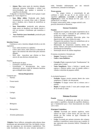 - Jejuno- Íleo: maior parte do intestino delgado.
Apresenta inúmeras vilosidades e células com
microvilosidades que ajudam a aumentar a
superfície de absorção.
A digestão no Intestino Delgado ocorre graças à ação
conjunta de 3 sucos digestivos.
- Suco Biliar (bílis): Produzida pelo fígado.
Armazenado na vesícula biliar onde é liberado
para o duodeno, tem a função de emulsificar as
gorduras.
- Suco Pancreático: produzido pelo pâncreas,
órgão anexo ao duodeno,é um líquido incolor e
rico em enzimas e bicabonato que neutraliza o
quimo.
- Suco Entérico (suco intestinal): produzido pela
mucosa intestinal.
Intestino Grosso
Continua-se com o intestino delgado dividi-se em três
segmentos:
- Ceco: onde encontra-se o apêndice.
- Cólon: parte maior, onde realiza-se a absorção de
água e sais minerais não absorvidos pelo intestino
delgado.
- Reto: tubo musculoso que elimina as fezes
através de uma abertura chamada ânus.
Funções:
- Reabsorção de água;
- Formação e acúmulo de fezes;
- Fermentação e decomposição dos restos
alimentares (graças a ação de inúmeras bactérias
que se abrigam nesse órgão).
Sistema Respiratório:
Composto por:
- Narinas:
- Fossas nasais:
- Faringe:
- Laringe:
- Traquéia:
- Brônquios:
- Bronquíolos:
- Alvéolos pulmonares.
Pulmões: Sacos infláveis, protegidos pelas pleuras (duas
membranas que apresentam entre elas, um líquido viscoso,
para dar segurança aos movimentos respiratórios). Eles
estão localizados dentro da caixa torácica (proteção) e
estão limitados inferiormente por um músculo
membranoso, chamado de diafragma..
Trocas gasosas
No sangue venoso, a concentração de gás
carbônico é maior do que do ar em contato com a
superfície pulmonar, ocorrendo o inverso com o
oxigênio,desse modo, há difusão de CO2 para o ar e
entrada de O2 no sangue.
O sangue venoso passa, então, a sangue arterial e este
processo denomina-se Hematose.
Sistema Circulatório
Funções
- Transporte do oxigênio, dos órgãos respiratórios até os
tecidos do corpo, e condução do gás carbônico dos
tecidos até os órgãos respiratórios.
- Distribuição dos nutrientes absorvidos pelas vias
digestivas para todas as células do corpo.
- Transporte dos produtos finais do metabolismo até os
órgãos especializados de excreção.
- Manutenção da temperatura corpórea dentro dos
limites “ótimos” para ação de determinadas enzimas.
- Distribuição de hormônios.
- Imunização através de células sanguíneas
O sistema circulatório é formado por:
- Sangue: Transporte e defesa.
- Linfa e vasos linfáticos:
- Coração (Órgão responsável pelo “bombeamento” de
sangue para o corpo).
- Vasos Sangüíneos: Veias e Artérias, ( parede mais
espessa e elástica) ambos vasos de grande calibre e
vênulas e arteríolas de pequeno calibre.
A circulação humana é:
- Fechado: Sangue circula somente dentro dos vasos
sangüíneos. É rápido e de alta pressão.
- Completo: O sangue venoso não se mistura com o
arterial.
- Dupla: O sangue circula 2 vezes pelo coração antes
de ser levado ao corpo.
A
A
Sistema Excretor
Função
Eliminar as substâncias que estão em excesso,
para manter o equilíbrio, chamado de equilíbrio dinâmico,
que é fundamental para o bom funcionamento da célula
com o meio.
Principais Catabólitos:
- Amônia: Excretada por animais aquáticos, muito
solúvel em água e muito tóxica, por isso deve ser
diluída em alto volume de água. Chamados de
amoniotélicos.
- Uréia: Excretada por animais terrestres não ovíparos
(anfíbios e mamíferos), menos tóxica que a amônia. O
que representa uma economia hídrica. Chamados de
ureotélicos.
 