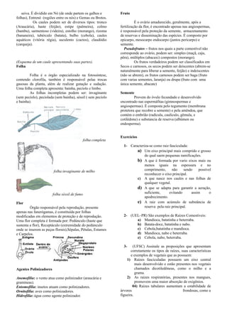 seiva. É dividido em Nó (de onde partem os galhos e
folhas), Entrenó (regiões entre os nós) e Gemas ou Brotos.
Os caules podem ser de diversos tipos: tronco
(Araucária), haste (feijão), estipe (palmeira), colmo
(bambu), sarmentoso (videira), estolho (morango), rizoma
(bananeira), tubérculo (batata), bulbo (cebola), caules
aquáticos (vitória régia), suculento (cactos), claudódio
(carqueja).
(Esquema de um caule apresentando suas partes).
Folha
Folha é o órgão especializado na fotossíntese,
contendo clorofila, também é responsável pelas trocas
gasosas da planta, além de realizar gutação e sudação.
Uma folha completa apresenta: bainha, pecíolo e limbo.
As folhas incompletas podem ser: invaginante
(sem pecíolo), peciolada (sem bainha), séssil ( sem pecíolo
e bainha).
folha completa
folha invaginante de milho
folha séssil de fumo
Flor
Órgão responsável pela reprodução, presente
apenas nas fanerógamas, é constituída por folhas
modificadas em elementos de proteção e de reprodução.
Uma flor completa é formada por: Pedúnculo (haste que
sustenta a flor), Receptáculo (extremidade do pedúnculo
onde se inserem as peças florais),Sépalas, Pétalas, Estames
e Carpelos.
Agentes Polinizadores
Anemofilia: o vento atua como polinizador (araucária e
gramíneas).
Entomofilia: insetos atuam como polinizadores.
Ornitofilia: aves como polinizadores.
Hidrofilia: água como agente polinizador.
Fruto
É o ovário amadurecido, geralmente, após a
fertilização da flor, é encontrado apenas nas angiospermas,
é responsável pela proteção da semente, armazenamento
de reservas e disseminação das espécies. É composto por
epicarpo, mesocarpo endocarpo (juntos pericarpo) e
semente.
Pseudofrutos – frutos nos quais a parte comestível não
corresponde ao ovário, podem ser: simples (maçã, caju,
pêra), múltiplos (abacaxi) compostos (morango).
Os frutos verdadeiros podem ser classificados em
Secos e carnosos, os secos podem ser deiscentes (abrem-se
naturalmente para liberar a semente, feijão) e indeiscentes
(não se abrem), os frutos carnosos podem ser baga (fruto
com varias sementes, laranja) ou drupa (fruto com uma
única semente, abacate)
Semente
Provem do óvulo fecundado e desenvolvido
encontrado nas espermáfitas (gimnospermas e
angiospermas). É composta pelo tegumento (membrana
protetora que recobre a semente) e pela amêndoa, que
contém o embrião (radícula, caulículo, gêmula, e
cotilédone) e substancia de reserva (albúmen ou
endosperma).
Exercícios
1- Caracteriza-se como raiz fasciculada:
a) Um eixo principal mais comprido e grosso
do qual saem pequenas ramificações.
b) A que é formada por vario eixos mais ou
menos iguais na espessura e no
comprimento, não sendo possível
reconhecer o eixo principal.
c) A que nasce nos caules e nas folhas de
qualquer vegetal.
d) A que se adapta para garantir a aeração,
suficiente, evitando assim o
apodrecimento.
e) A raiz com acúmulo de substância de
reserva pela raiz principal.
2- (UEL–PR) São exemplos de Raízes Comestíveis:
a) Mandioca, batatinha e beterraba.
b) Batata-doce, batatinha e nabo.
c) Cebola,batatinha e mandioca.
d) Mandioca, nabo e beterraba.
e) Cebola, nabo, beterraba.
3- (UFSC) Assinale as proposições que apresentam
corretamente os tipos de raízes, suas características
e exemplos de vegetais que as possuem:
1) Raízes fasciculadas possuem um eixo central
mais desenvolvido e estão presentes nos vegetais
chamados dicotiledôneas, como o milho e a
grama.
2) As raízes respiratórias, presentes nos mangues,
promovem uma maior absorção de oxigênios.
04) Raízes tabulares aumentam a estabilidade de
árvores b frondosas, como a
figueira.
 