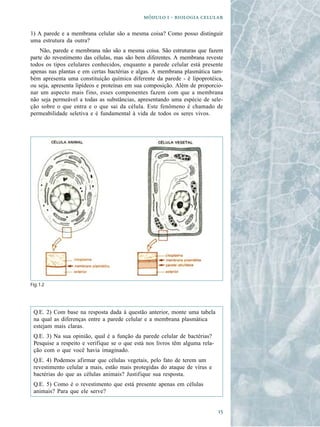   -  

1) A parede e a membrana celular são a mesma coisa? Como posso distinguir
uma estrutura da outra?
    Não, parede e membrana não são a mesma coisa. São estruturas que fazem
parte do revestimento das células, mas são bem diferentes. A membrana reveste
todos os tipos celulares conhecidos, enquanto a parede celular está presente
apenas nas plantas e em certas bactérias e algas. A membrana plasmática tam-
bém apresenta uma constituição química diferente da parede - é lipoprotéica,
ou seja, apresenta lipídeos e proteínas em sua composição. Além de proporcio-
nar um aspecto mais fino, esses componentes fazem com que a membrana
não seja permeável a todas as substâncias, apresentando uma espécie de sele-
ção sobre o que entra e o que sai da célula. Este fenômeno é chamado de
permeabilidade seletiva e é fundamental à vida de todos os seres vivos.




Fig. 1.2




 Q.E. 2) Com base na resposta dada à questão anterior, monte uma tabela
 na qual as diferenças entre a parede celular e a membrana plasmática
 estejam mais claras.
 Q.E. 3) Na sua opinião, qual é a função da parede celular de bactérias?
 Pesquise a respeito e verifique se o que está nos livros têm alguma rela-
 ção com o que você havia imaginado.
 Q.E. 4) Podemos afirmar que células vegetais, pelo fato de terem um
 revestimento celular a mais, estão mais protegidas do ataque de vírus e
 bactérias do que as células animais? Justifique sua resposta.
 Q.E. 5) Como é o revestimento que está presente apenas em células
 animais? Para que ele serve?


                                                                             
 