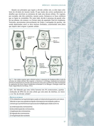   -  

    Quanto aos princípios que regem a divisão celular sim, os dois tipos celu-
lares de dividem do mesmo modo. O que muda são certos acabamentos ou
detalhes que envolvem as estruturas de cada uma dessas células. Os vegetais,
por exemplo, não têm centríolos, mesmo assim, formam-se os fusos mitóticos
que se ligam às cromátides. Por outro lado, devido à presença da parede celu-
lar nas plantas, ela começa a se formar antes da separação final do citoplasma.
Vesículas, provenientes provavelmente do Golgi e carregadas de pectina, vão
sendo depositadas entre os dois núcleos formados, constituindo uma placa
que depois dará origem à parede celular.




Fig. 1.7 – Nas células vegetais, após a divisão nuclear, a separação do citoplasma difere muito da
ocorrida nas células animais. Nos vegetais, a citocinese é centrífuga, resultando do fenômeno
primário de deposição de vesículas com pectina do centro para a periferia da célula. Acompanhe
as explicações do texto. (Figura modificada de Berkaloff et al. Biologia e fisiologia celular. São
Paulo, Edgard Blücher Ed./Edusp, 1972.)

 Q.E. 20) Sabendo que uma célula humana tem 46 cromossomos, quantas
 moléculas de DNA há em uma célula que está antes da intérfase, no início
 e no fim da divisão celular?
 QUESTÃO DE VESTIBULAR
 37) A vinblastina é um quimioterápico usado no tratamento de pacientes com câncer.
 Sabendo-se que essa substância impede a formação de microtúbulos, pode-se
 concluir que sua interferência no processo de multiplicação celular ocorre na
 a) condensação dos cromossosmos.
 b) descondensação dos cromossomos.
 c) duplicação dos cromossomos.
 d) migração dos cromossomos.
 e) reorganização dos nucléolos.


                                                                                               
 
