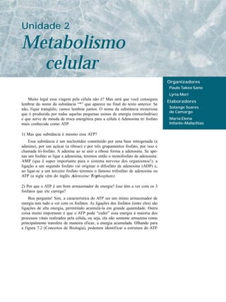 Unidade 2

Metabolismo
  celular
                                                                                    Organizadores
                                                                                    Paulo Takeo Sano
                                                                                    Lyria Mori
   Muito legal essa viagem pela célula não é? Mas será que você conseguiu
                                                                                    Elaboradores
lembrar do nome da substância “*” que aparece no final do texto anterior. Se
não, fique tranqüilo, vamos lembrar juntos. O nome da substância misteriosa         Solange Soares
                                                                                    de Camargo
que é produzida por todas aquelas pequenas usinas de energia (mitocôndrias)
e que serve de moeda de troca energética para a célula é Adenosina tri fosfato      Maria Elena
mais conhecida como ATP.                                                            Infante-Malachias

1) Mas que substância é mesmo esse ATP?
    Essa substância é um nucleotídeo constituído por uma base nitrogenada (a
adenina), por um açúcar (a ribose) e por três grupamentos fosfato, por isso e
chamada tri-fosfato. A adenina ao se unir a ribose forma a adenosina. Se ape-
nas um fosfato se ligar a adenosina, teremos então o monofosfato de adenosina:
AMP (que é super importante para o sistema nervoso dos organismos!); a
ligação a um segundo fosfato vai originar o difosfato de adenosina (ADP) e,
ao ligar-se a um terceiro fosfato teremos o famoso trifosfato de adenosina ou
ATP (a sigla vêm do inglês Adenosine Triphosphate).

2) Por que o ATP é um bom armazenador de energia? Isso têm a ver com os 3
fosfatos que ele carrega?
    Boa pergunta! Sim, a característica do ATP ser um ótimo armazenador de
energia tem tudo a ver com os fosfatos. As ligações dos fosfatos (entre eles) são
ligações de alta energia, permitindo acumulá-la em grande quantidade. Outra
coisa muito importante é que o ATP pode “ceder” essa energia à maioria dos
processos vitais realizados pela célula, ou seja, ela não somente armazena como
principalmente transfere de maneira eficaz, a energia acumulada. Olhando para
a figura 7.2 (Conceitos de Biologia), podemos identificar a estrutura do ATP.
 