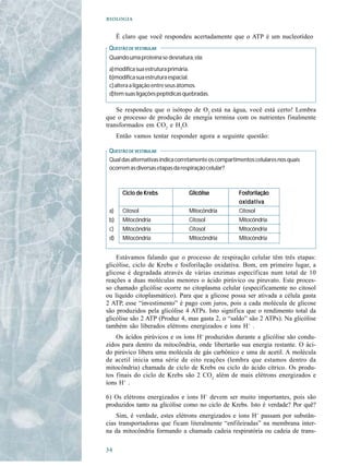 

      É claro que você respondeu acertadamente que o ATP é um nucleotídeo
 QUESTÃO DE VESTIBULAR
 Quando uma proteína se desnatura, ela:
 a) modifica sua estrutura primária.
 b)modifica sua estrutura espacial.
 c) altera a ligação entre seus átomos.
 d)tem suas ligações peptídicas quebradas.

    Se respondeu que o isótopo de O2 está na água, você está certo! Lembra
que o processo de produção de energia termina com os nutrientes finalmente
transformados em CO2 e H2O.
      Então vamos tentar responder agora a seguinte questão:

 QUESTÃO DE VESTIBULAR
 Qual das alternativas indica corretamente os compartimentos celulares nos quais
 ocorrem as diversas etapas da respiração celular?



        Ciclo de Krebs            Glicólise           Fosforilação
                                                      oxidativa
 a)     Citosol                   Mitocôndria         Citosol
 b)     Mitocôndria               Citosol             Mitocôndria
 c)     Mitocôndria               Citosol             Mitocôndria
 d)     Mitocôndria               Mitocôndria         Mitocôndria


    Estávamos falando que o processo de respiração celular têm três etapas:
glicólise, ciclo de Krebs e fosforilação oxidativa. Bom, em primeiro lugar, a
glicose é degradada através de várias enzimas específicas num total de 10
reações a duas moléculas menores o ácido pirúvico ou piruvato. Este proces-
so chamado glicólise ocorre no citoplasma celular (especificamente no citosol
ou líquido citoplasmático). Para que a glicose possa ser ativada a célula gasta
2 ATP, esse “investimento” é pago com juros, pois a cada molécula de glicose
são produzidos pela glicólise 4 ATPs. Isto significa que o rendimento total da
glicólise são 2 ATP (Produz 4, mas gasta 2, o “saldo” são 2 ATPs). Na glicólise
também são liberados elétrons energizados e íons H+ .
    Os ácidos pirúvicos e os íons H+ produzidos durante a glicólise são condu-
zidos para dentro da mitocôndria, onde libertarão sua energia restante. O áci-
do pirúvico libera uma molécula de gás carbônico e uma de acetil. A molécula
de acetil inicia uma série de oito reações (lembra que estamos dentro da
mitocôndria) chamada de ciclo de Krebs ou ciclo do ácido cítrico. Os produ-
tos finais do ciclo de Krebs são 2 CO2 além de mais elétrons energizados e
íons H+ .

6) Os elétrons energizados e íons H+ devem ser muito importantes, pois são
produzidos tanto na glicólise como no ciclo de Krebs. Isto é verdade? Por quê?
    Sim, é verdade, estes elétrons energizados e íons H+ passam por substân-
cias transportadoras que ficam literalmente “enfileiradas” na membrana inter-
na da mitocôndria formando a chamada cadeia respiratória ou cadeia de trans-


 