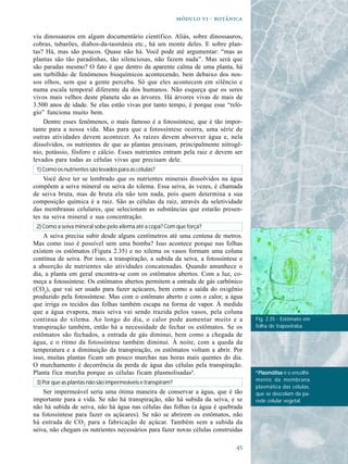   - 

viu dinossauros em algum documentário científico. Aliás, sobre dinossauros,
cobras, tubarões, diabos-da-tasmânia etc., há um monte deles. E sobre plan-
tas? Há, mas são poucos. Quase não há. Você pode até argumentar: “mas as
plantas são tão paradinhas, tão silenciosas, não fazem nada”. Mas será que
são paradas mesmo? O fato é que dentro da aparente calma de uma planta, há
um turbilhão de fenômenos bioquímicos acontecendo, bem debaixo dos nos-
sos olhos, sem que a gente perceba. Só que eles acontecem em silêncio e
numa escala temporal diferente da dos humanos. Não esqueça que os seres
vivos mais velhos deste planeta são as árvores. Há árvores vivas de mais de
3.500 anos de idade. Se elas estão vivas por tanto tempo, é porque esse “reló-
gio” funciona muito bem.
    Dentre esses fenômenos, o mais famoso é a fotossíntese, que é tão impor-
tante para a nossa vida. Mas para que a fotossíntese ocorra, uma série de
outras atividades devem acontecer. As raízes devem absorver água e, nela
dissolvidos, os nutrientes de que as plantas precisam, principalmente nitrogê-
nio, potássio, fósforo e cálcio. Esses nutrientes entram pela raiz e devem ser
levados para todas as células vivas que precisam dele.
 1) Como os nutrientes são levados para as células?
    Você deve ter se lembrado que os nutrientes minerais dissolvidos na água
compõem a seiva mineral ou seiva do xilema. Essa seiva, às vezes, é chamada
de seiva bruta, mas de bruta ela não tem nada, pois quem determina a sua
composição química é a raiz. São as células da raiz, através da seletividade
das membranas celulares, que selecionam as substâncias que estarão presen-
tes na seiva mineral e sua concentração.
 2) Como a seiva mineral sobe pelo xilema até a copa? Com que força?
    A seiva precisa subir desde alguns centímetros até uma centena de metros.
Mas como isso é possível sem uma bomba? Isso acontece porque nas folhas
existem os estômatos (Figura 2.35) e no xilema os vasos formam uma coluna
contínua de seiva. Por isso, a transpiração, a subida da seiva, a fotossíntese e
a absorção de nutrientes são atividades concatenadas. Quando amanhece o
dia, a planta em geral encontra-se com os estômatos abertos. Com a luz, co-
meça a fotossíntese. Os estômatos abertos permitem a entrada de gás carbônico
(CO2), que vai ser usado para fazer açúcares, bem como a saída do oxigênio
produzido pela fotossíntese. Mas com o estômato aberto e com o calor, a água
que irriga os tecidos das folhas também escapa na forma de vapor. À medida
que a água evapora, mais seiva vai sendo trazida pelos vasos, pela coluna
contínua do xilema. Ao longo do dia, o calor pode aumentar muito e a               Fig. 2.35 - Estômato em
transpiração também, então há a necessidade de fechar os estômatos. Se os          folha de trapoeiraba.
estômatos são fechados, a entrada de gás diminui, bem como a chegada de
água, e o ritmo da fotossíntese também diminui. À noite, com a queda da
temperatura e a diminuição da transpiração, os estômatos voltam a abrir. Por
isso, muitas plantas ficam um pouco murchas nas horas mais quentes do dia.
O murchamento é decorrência da perda de água das células pela transpiração.
Planta fica murcha porque as células ficam plasmolisadas4.                         4
                                                                                    Plasmólise é o encolhi-
                                                                                   mento da membrana
 3) Por que as plantas não são impermeáveis e transpiram?
                                                                                   plasmática das células,
    Ser impermeável seria uma ótima maneira de conservar a água, que é tão         que se descolam da pa-
importante para a vida. Se não há transpiração, não há subida da seiva, e se       rede celular vegetal.
não há subida de seiva, não há água nas células das folhas (a água é quebrada
na fotossíntese para fazer os açúcares). Se não se abrirem os estômatos, não
há entrada de CO 2 para a fabricação de açúcar. Também sem a subida da
seiva, não chegam os nutrientes necessários para fazer novas células construídas

                                                                              
 