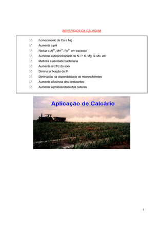 BENEFÍCIOS DA CALAGEM


+   Fornecimento de Ca e Mg
+   Aumenta o pH
+   Reduz o Al3+ , Mn2+ , Fe3+ em excesso
+   Aumenta a disponibilidade de N, P, K, Mg, S, Mo, etc
+   Melhora a atividade bacteriana
+   Aumenta a CTC do solo
+   Diminui a fixação do P
+   Diminuição da disponibilidade de micronutrientes
+   Aumenta eficiência dos fertilizantes
+   Aumenta a produtividade das culturas




                                                           5
 