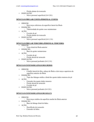 e-mail: cinesiologiafaum@gmail.com blog: www.robertopeoli.blogspot.com
Prof. Esp. Roberto Pereira de Oliveira 45
– Flexão plantar do tornozelo
• INERVAÇÃO:
– Nervo peroneal superficial (L4-5,S1)
MÚSCULO FIBULAR CURTO (PERONEAL CURTO)
• ORIGEM:
– Dois terços inferiores da superfície lateral da fíbula
• INSERÇÃO:
– Tuberiosidade do quinto osso metatarsiano
• AÇÃO:
– Eversão do pé
– Flexão plantar do tornozelo
• INERVAÇÃO:
– Nervo peroneal superficial (L4-5, S1)
MÚSCULO FIBULAR TERCEIRO (PERONEAL TERCEIRO)
• ORIGEM:
– Terço distal da fíbula anterior
• INSERÇÃO:
– Base do quinto metatarsiano
• AÇÃO:
– Eversão do pé
– Flexão dorsal do tornozelo
• INERVAÇÃO:
– Nervo peroneal profundo (L4-5, S1)
MÚSCULO EXTENSOR LONGO DOS DEDOS
• ORIGEM:
– Côndilo lateral da tíbia, cabeça da fíbula e dois terços superiores da
superfície anterior da fíbula
• INSERÇÃO:
– Topo das falanges média e distal dos quatro dedos menores do pé
• AÇÃO:
– Extensão dos quatro dedos menores
– Flexão dorsal do tornozelo
– Eversão do pé
• INERVAÇÃO:
– Nervo peroneal profundo (L4-5,S1)
MÚSCULO EXTENSOR LONGO DO HÁLUX
• ORIGEM:
– Dois terços médios da superfície medial da fíbula anterior
• INSERÇÃO:
– Base da falange distal do hálux
• AÇÃO:
– Dorsiflexão do tornozelo
– Extensão do hálux
 