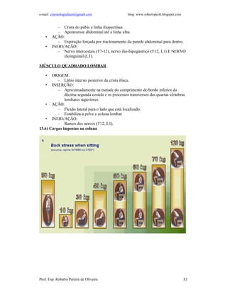 e-mail: cinesiologiafaum@gmail.com blog: www.robertopeoli.blogspot.com
Prof. Esp. Roberto Pereira de Oliveira 53
– Crista do púbis e linha iliopectínea
– Aponeurose abdominal até a linha alba.
• AÇÃO:
– Expiração forçada por tracionamento da parede abdominal para dentro.
• INERVAÇÃO:
– Nervo intercostais (T7-12), nervo ilio-hipogástrico (T12, L1) E NERVO
ilioinguinal (L1).
MÚSCULO QUADRADO LOMBAR
• ORIGEM:
– Lábio interno posterior da crista ilíaca.
• INSERÇÃO:
– Aproximadamente na metade do comprimento do bordo inferior da
décima segunda costela e os processos transversos das quartas vértebras
lombares superiores.
• AÇÃO:
– Flexão lateral para o lado que está localizado.
– Estabiliza a pelve e coluna lombar
• INERVAÇÃO:
– Ramos dos nervos (T12, L1).
13.6) Cargas impostas na coluna
 