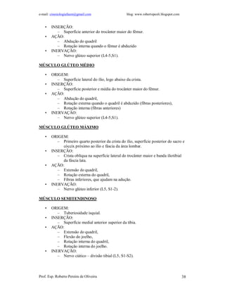 e-mail: cinesiologiafaum@gmail.com                   blog: www.robertopeoli.blogspot.com


    •   INSERÇÃO:
           – Superfície anterior do trocânter maior do fêmur.
    •   AÇÃO:
           – Abdução do quadril
           – Rotação interna quando o fêmur é abduzido
    •   INERVAÇÃO:
           – Nervo glúteo superior (L4-5,S1).

MÚSCULO GLÚTEO MÉDIO

    •   ORIGEM:
           – Superfície lateral do ílio, logo abaixo da crista.
    •   INSERÇÃO:
           – Superfície posterior e média do trocânter maior do fêmur.
    •   AÇÃO:
           – Abdução do quadril,
           – Rotação externa quando o quadril é abduzido (fibras posteriores),
           – Rotação interna (fibras anteriores)
    •   INERVAÇÃO:
           – Nervo glúteo superior (L4-5,S1).

MÚSCULO GLÚTEO MÁXIMO

    •   ORIGEM:
           – Primeiro quarto posterior da crista do ílio, superfície posterior do sacro e
             cóccix próximo ao ílio e fáscia da área lombar.
    •   INSERÇÃO:
           – Crista oblíqua na superfície lateral do trocânter maior e banda iliotibial
             da fáscia lata.
    •   AÇÃO:
           – Extensão do quadril,
           – Rotação externa do quadril,
           – Fibras inferiores, que ajudam na adução.
    •   INERVAÇÃO:
           – Nervo glúteo inferior (L5, S1-2).

MÚSCULO SEMITENDINOSO

    •   ORIGEM:
           – Tuberiosidade isquial.
    •   INSERÇÃO:
           – Superfície medial anterior superior da tíbia.
    •   AÇÃO:
           – Extensão do quadril,
           – Flexão do joelho,
           – Rotação interna do quadril,
           – Rotação interna do joelho.
    •   INERVAÇÃO:
           – Nervo ciático – divisão tibial (L5, S1-S2).



Prof. Esp. Roberto Pereira de Oliveira                                                     38
 