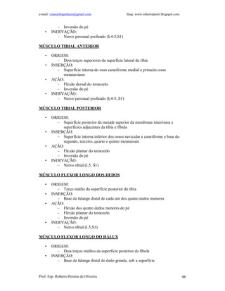 e-mail: cinesiologiafaum@gmail.com                  blog: www.robertopeoli.blogspot.com


           – Inversão do pé
    •   INERVAÇÃO:
           – Nervo peroneal profundo (L4-5,S1)

MÚSCULO TIBIAL ANTERIOR

    •   ORIGEM:
           – Dois terços superiores da superfície lateral da tíbia
    •   INSERÇÃO:
           – Superfície interna do osso cuneiforme medial e primeiro osso
             metatarsiano
    •   AÇÃO:
           – Flexão dorsal do tornozelo
           – Inversão do pé
    •   INERVAÇÃO:
           – Nervo peroneal profundo (L4-5, S1)

MÚSCULO TIBIAL POSTERIOR

    •   ORIGEM:
           – Superfície posterior da metade superior da membrana interóssea e
             superfícies adjacentes da tíbia e fíbula
    •   INSERÇÃO:
           – Superfície interna inferior dos ossos navicular e cuneiforme e base do
             segundo, terceiro, quarto e quinto metatarsais
    •   AÇÃO:
           – Flexão plantar do tornozelo
           – Inversão do pé
    •   INERVAÇÃO:
           – Nervo tibial (L5, S1)

MÚSCULO FLEXOR LONGO DOS DEDOS

    •   ORIGEM:
           – Terço médio da superfície posterior da tíbia
    •   INSERÇÃO:
           – Base da falange distal de cada um dos quatro dedos menores
    •   AÇÃO:
           – Flexão dos quatro dedos menores do pé
           – Flexão plantar do tornozelo
           – Inversão do pé
    •   INERVAÇÃO:
           – Nervo tibial (L5,S1)

MÚSCULO FLEXOR LONGO DO HÁLUX

    •   ORIGEM:
           – Dois terços médios da superfície posterior da fíbula
    •   INSERÇÃO:
           – Base da falange distal do dedo grande, sob a superfície


Prof. Esp. Roberto Pereira de Oliveira                                                    46
 