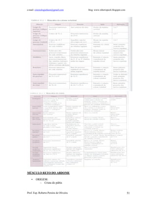 e-mail: cinesiologiafaum@gmail.com       blog: www.robertopeoli.blogspot.com




MÚSCULO RETO DO ABDOME

    •   ORIGEM:
          – Crista do púbis


Prof. Esp. Roberto Pereira de Oliveira                                         51
 