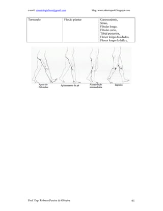 e-mail: cinesiologiafaum@gmail.com               blog: www.robertopeoli.blogspot.com


Tornozelo                       Flexão plantar          Gastrocnêmio,
                                                        Sóleo,
                                                        Fibular longo,
                                                        Fibular curto,
                                                        Tibial posterior,
                                                        Flexor longo dos dedos,
                                                        Flexor longo do hálux,




Prof. Esp. Roberto Pereira de Oliveira                                                 61
 