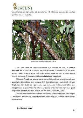 24
ecossistemas, ele apresenta, até o momento, 1,5 milhão de espécies de vegetais
identificadas por cientistas.
Fonte: www.fatosdesconhecidos.com.br
Com uma área de aproximadamente 5,5 milhões de km², a Floresta
Amazônica é a principal cobertura vegetal do Brasil, ocupando 45% do nosso
território, além de espaços de mais nove países, sendo também a maior floresta
tropical do mundo. É chamada de Floresta latifoliada equatorial.
A Floresta Amazônica caracteriza-se por ser heterogênea, havendo um elevado
quantitativo de espécies, com cerca de 2500 tipos de árvores e mais de 30 mil tipos
de plantas. Além disso, ela é perene, ou seja, permanece verde durante todo o ano,
não perdendo as suas folhas no outono. Apresenta uma densidade elevada, o que é
propício ao grande número de árvores por m². (RUSCHEINSKY, 2012)
Costuma-se classificar essa floresta conforme a proximidade dos cursos d’água.
Dessa forma, existem três subtipos principais: mata de igapó, mata de várzea e mata
de terra firme.
6.4.2 Mata de Igapó
 